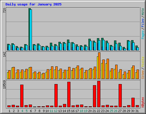 Daily usage for January 2025