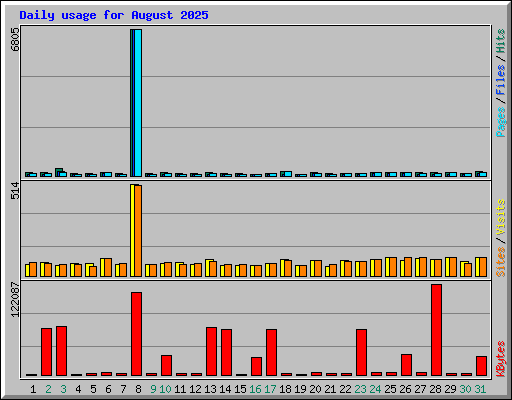 Daily usage for August 2025
