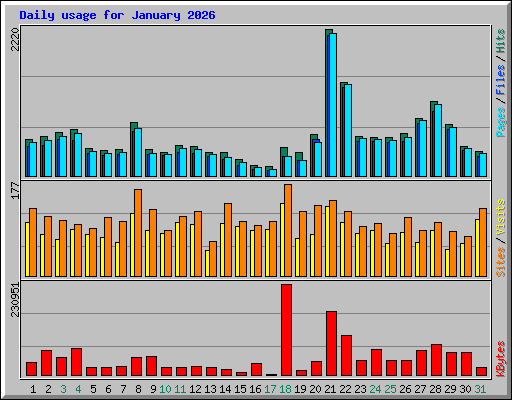 Daily usage for January 2026