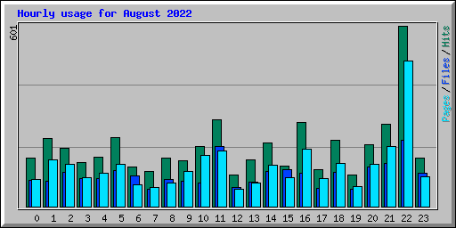 Hourly usage for August 2022
