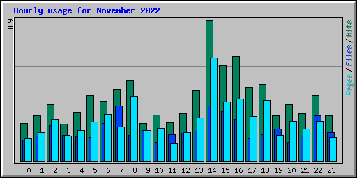 Hourly usage for November 2022