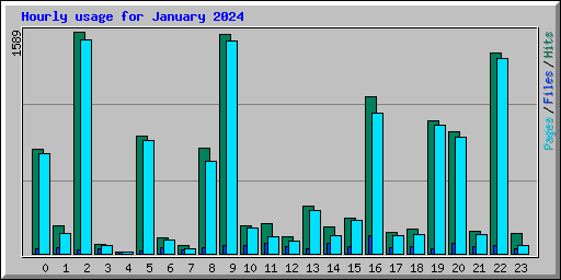 Hourly usage for January 2024