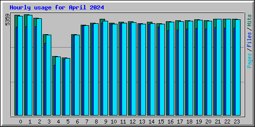 Hourly usage for April 2024
