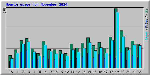 Hourly usage for November 2024