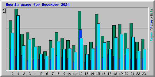 Hourly usage for December 2024