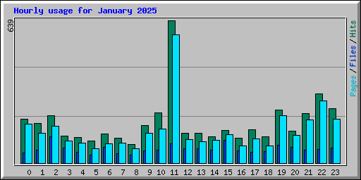 Hourly usage for January 2025