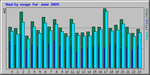 Hourly usage for June 2025