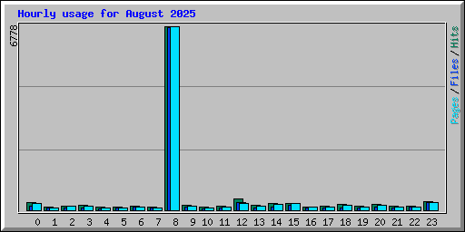 Hourly usage for August 2025
