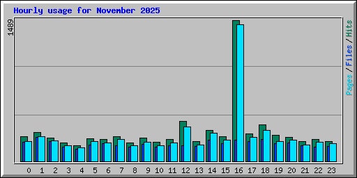 Hourly usage for November 2025