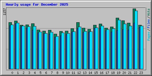 Hourly usage for December 2025