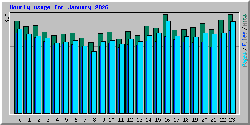 Hourly usage for January 2026