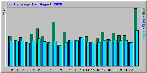 Hourly usage for August 2026